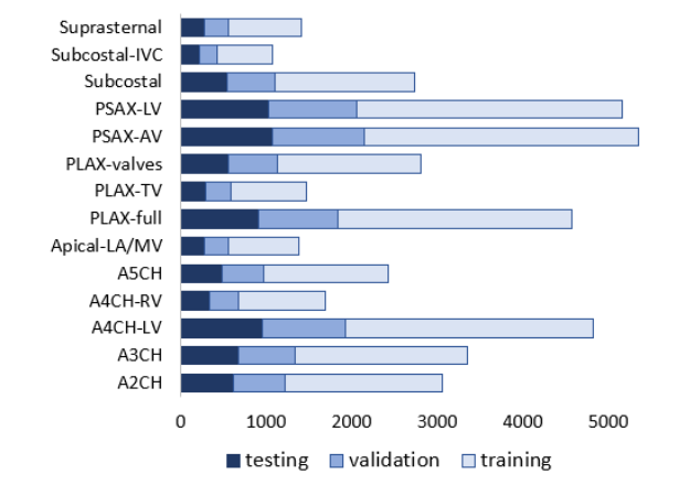 dataset